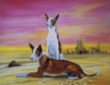 ibizský podenco