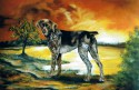 German Shorthaired Pointer