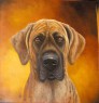 great dane