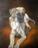 sloughi puppy
