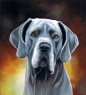 great dane
