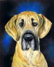great dane