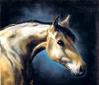 english thoroughbred