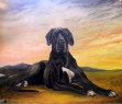 great dane