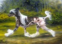 chinese crested dog "Nikki"