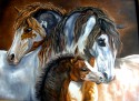 paint horses