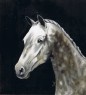 orlov trotter.jpg