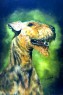 airedale terrier
