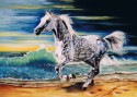 grey arabian horse.jpg